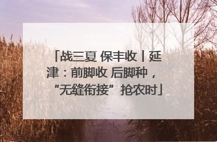 战三夏 保丰收丨延津：前脚收 后脚种，“无缝衔接”抢农时
