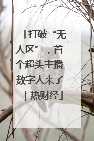 打破“无人区”，首个超头主播数字人来了｜热财经