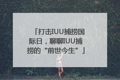打击IUU捕捞国际日，聊聊IUU捕捞的“前世今生”