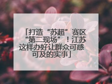 打造“苏超”赛区“第二现场”！江苏这样办好让群众可感可及的实事