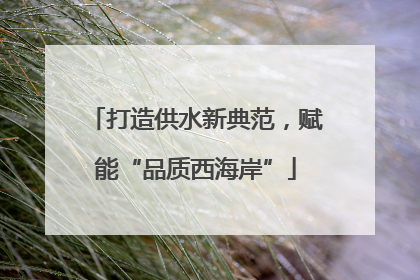 打造供水新典范，赋能“品质西海岸”