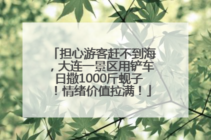 担心游客赶不到海，大连一景区用铲车日撒1000斤蚬子！情绪价值拉满！