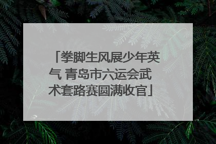 拳脚生风展少年英气 青岛市六运会武术套路赛圆满收官