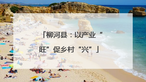 柳河县：以产业“旺”促乡村“兴”
