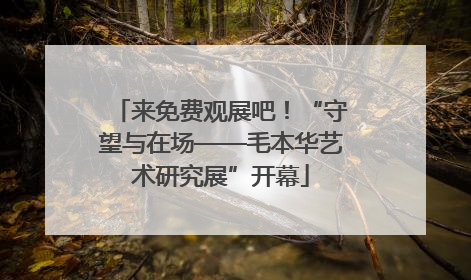 来免费观展吧！“守望与在场——毛本华艺术研究展”开幕