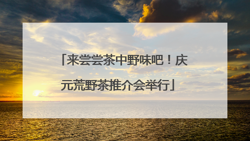 来尝尝茶中野味吧！庆元荒野茶推介会举行