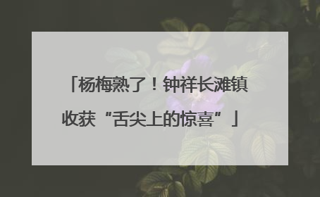 杨梅熟了！钟祥长滩镇收获“舌尖上的惊喜”