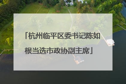 杭州临平区委书记陈如根当选市政协副主席