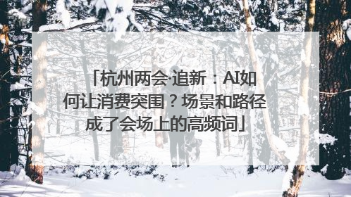 杭州两会·追新：AI如何让消费突围？场景和路径成了会场上的高频词
