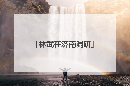 林武在济南调研