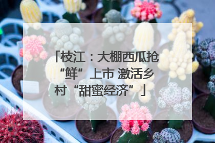 枝江：大棚西瓜抢“鲜”上市 激活乡村“甜蜜经济”
