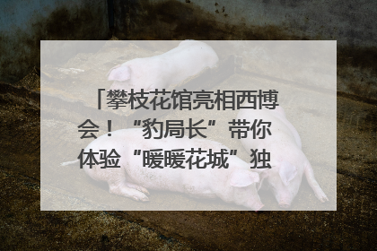 攀枝花馆亮相西博会！“豹局长”带你体验“暖暖花城”独特魅力｜西博视界