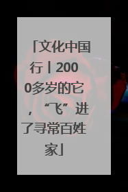 文化中国行丨2000多岁的它，“飞”进了寻常百姓家