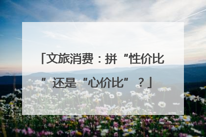 文旅消费：拼“性价比”还是“心价比”？