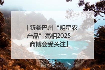 新疆巴州“明星农产品”亮相2025商博会受关注
