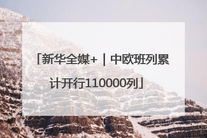 新华全媒+｜中欧班列累计开行110000列