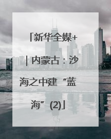 新华全媒+｜内蒙古：沙海之中建“蓝海”(2)