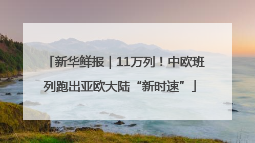 新华鲜报｜11万列！中欧班列跑出亚欧大陆“新时速”