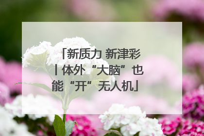 新质力 新津彩丨体外“大脑”也能“开”无人机