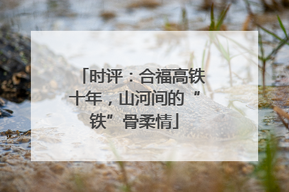 时评：合福高铁十年，山河间的“铁”骨柔情