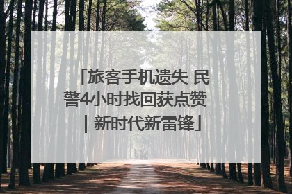 旅客手机遗失 民警4小时找回获点赞｜新时代新雷锋