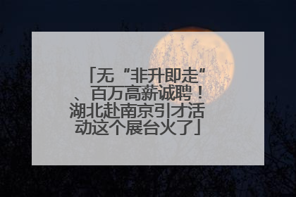 无“非升即走”、百万高薪诚聘！湖北赴南京引才活动这个展台火了
