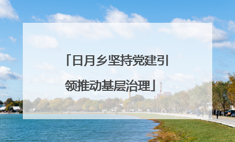 日月乡坚持党建引领推动基层治理