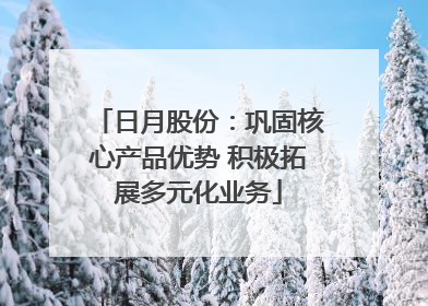 日月股份：巩固核心产品优势 积极拓展多元化业务