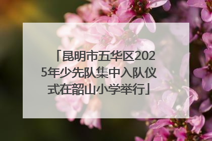 昆明市五华区2025年少先队集中入队仪式在韶山小学举行