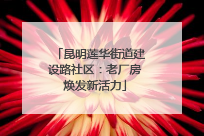 昆明莲华街道建设路社区：老厂房焕发新活力