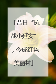 昔日“抗战小延安”，今成红色美丽村