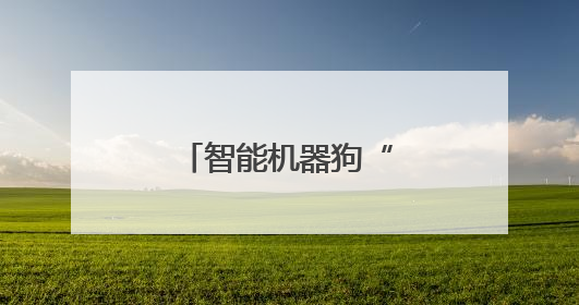智能机器狗“奔跑”在深圳这片创业热土上