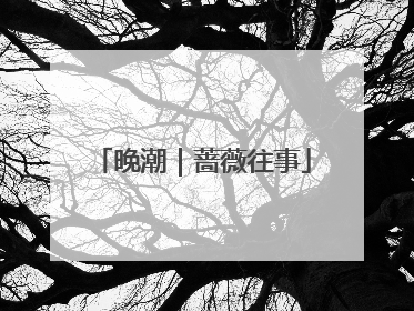 晚潮｜蔷薇往事