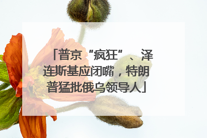 普京“疯狂”、泽连斯基应闭嘴，特朗普猛批俄乌领导人