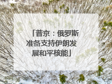 普京：俄罗斯准备支持伊朗发展和平核能