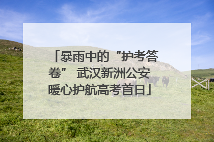 暴雨中的“护考答卷” 武汉新洲公安暖心护航高考首日