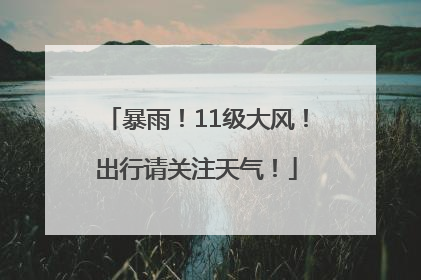 暴雨！11级大风！出行请关注天气！