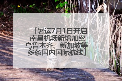 暑运7月1日开启 南昌机场新增加密乌鲁木齐、新加坡等多条国内国际航线