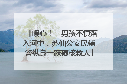 暖心！一男孩不慎落入河中，苏仙公安民辅警纵身一跃硬核救人