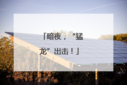 暗夜，“猛龙”出击！