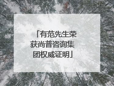 有范先生荣获尚普咨询集团权威证明