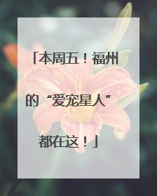 本周五！福州的“爱宠星人”都在这！