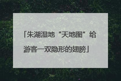 朱湖湿地“天地图”给游客一双隐形的翅膀