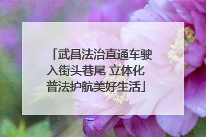 武昌法治直通车驶入街头巷尾 立体化普法护航美好生活