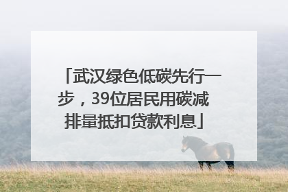 武汉绿色低碳先行一步，39位居民用碳减排量抵扣贷款利息
