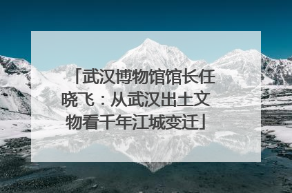 武汉博物馆馆长任晓飞：从武汉出土文物看千年江城变迁
