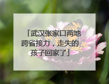 武汉张家口两地跨省接力，走失的孩子回家了