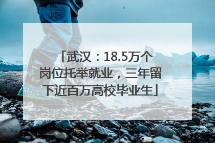 武汉：18.5万个岗位托举就业，三年留下近百万高校毕业生