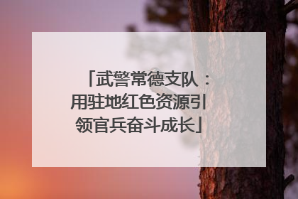 武警常德支队：用驻地红色资源引领官兵奋斗成长