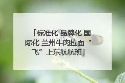 标准化 品牌化 国际化 兰州牛肉拉面“飞”上东航航班